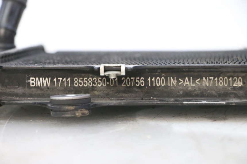 photo de RADIATORE BMW G310 R 310 (2016 - 2020) - Altra angolazione