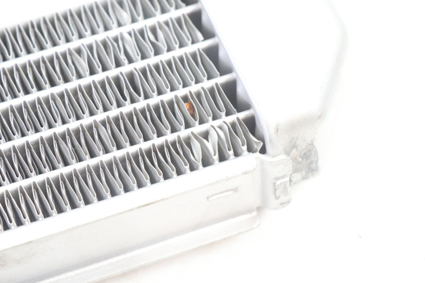 photo de RADIATORE SINISTRA PEUGEOT LUDIX BLASTER 50 (2006 - 2014) - Zoom sullo stato d'uso