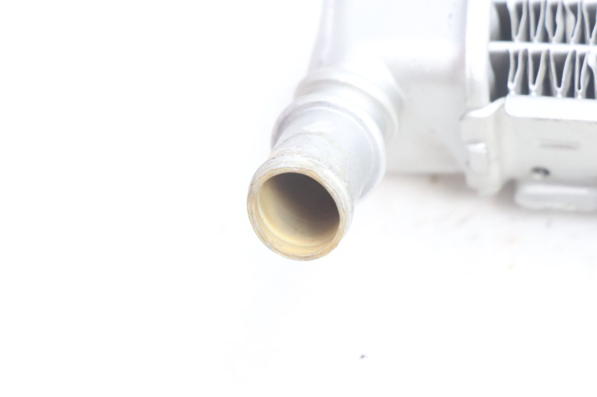 photo de RADIATORE SINISTRA PEUGEOT LUDIX BLASTER 50 (2006 - 2014) - Vista d'insieme del prodotto