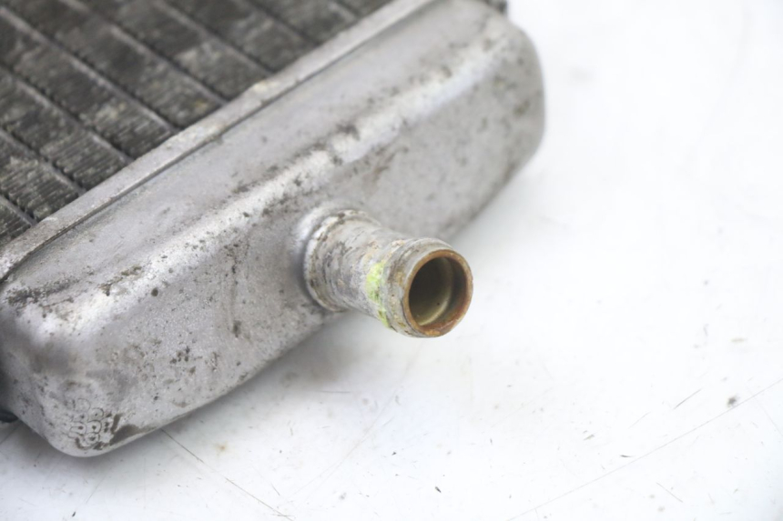 photo de RADIATORE SINISTRA PIAGGIO VESPA GRANTURISMO 125 (2003 - 2007) - Altra angolazione