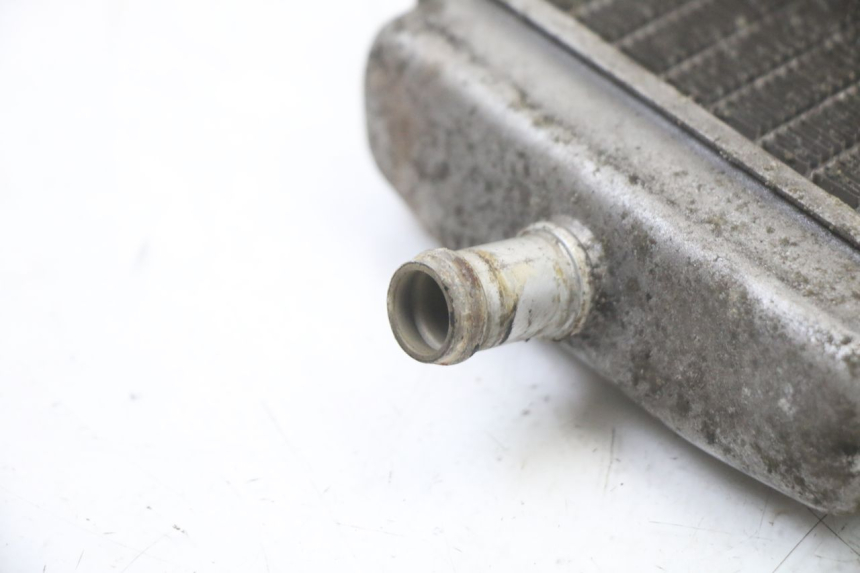 photo de RADIATORE SINISTRA PIAGGIO VESPA GRANTURISMO 125 (2003 - 2007) - Vista d'insieme del prodotto