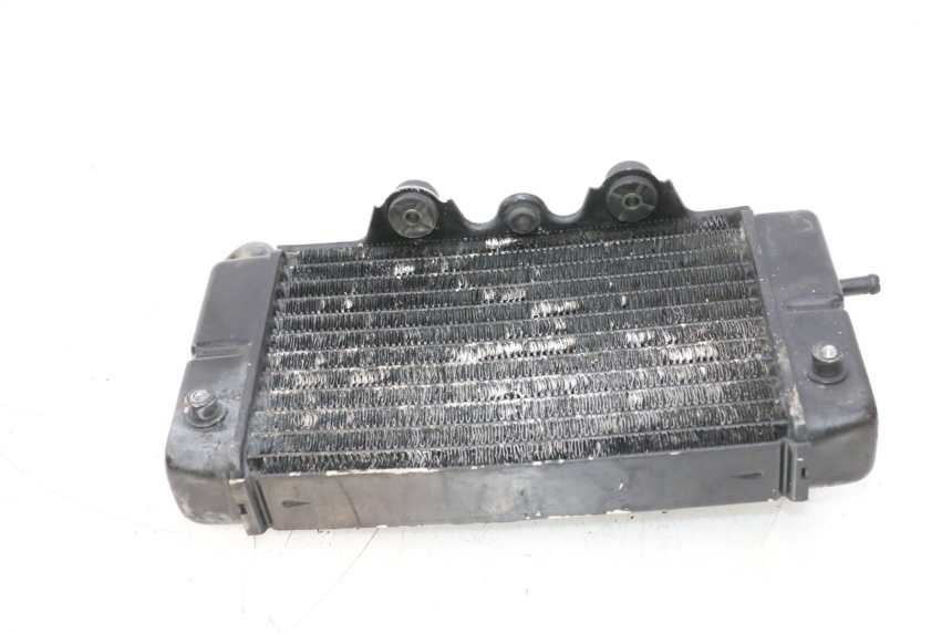 photo de RADIATORE SINISTRA HONDA XRV AFRICA TWIN 750 (1990 - 1992) - Zoom sullo stato d'uso