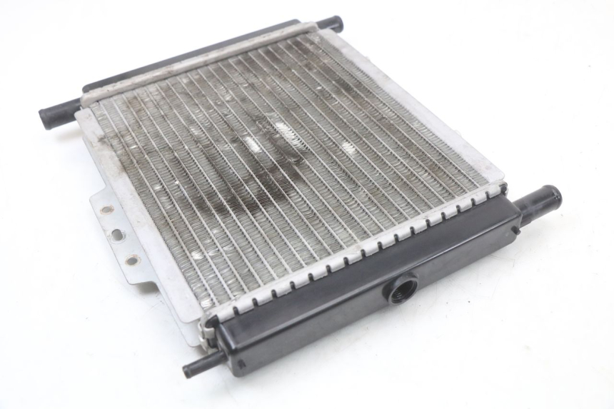 photo de RADIATORE PEUGEOT GEOPOLIS RS 125 (2007 - 2009) - Zoom sullo stato d'uso