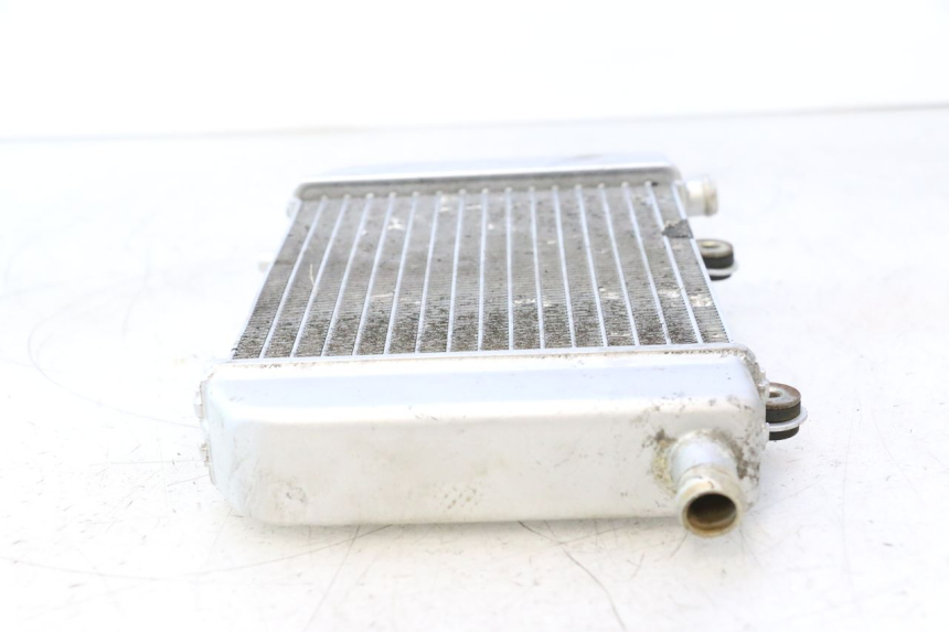 photo de RADIATORE NECO GPX LC 2T 50 (2014 - 2018) - Altra vista dell'articolo