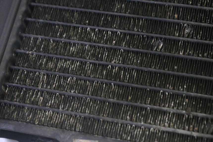 photo de RADIATORE KAWASAKI GPX R WARBIRD 600 (1988 - 1993) - Zoom sullo stato d'uso