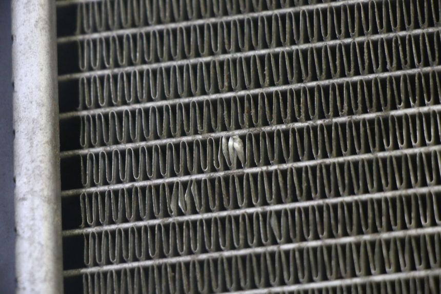 photo de RADIATORE KYMCO GRAND DINK 125 (2002 - 2007) - Altra angolazione