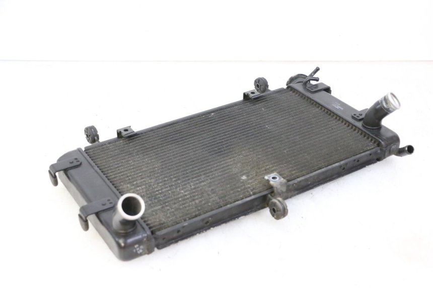 photo de RADIATORE SUZUKI GSR 750 (2011 - 2017) - Vista d'insieme del prodotto