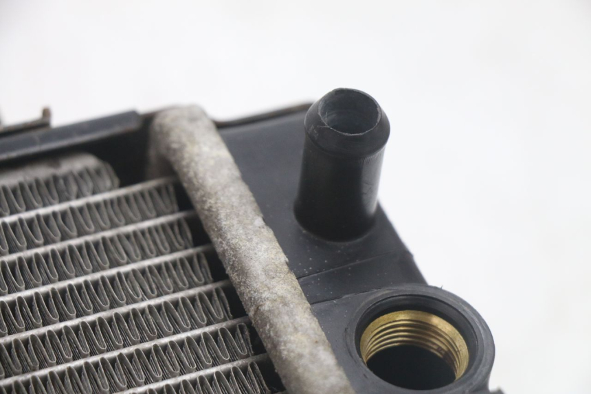 photo de RADIATORE SYM GTS EVO 125 (2009 - 2013) - Primo piano tecnico