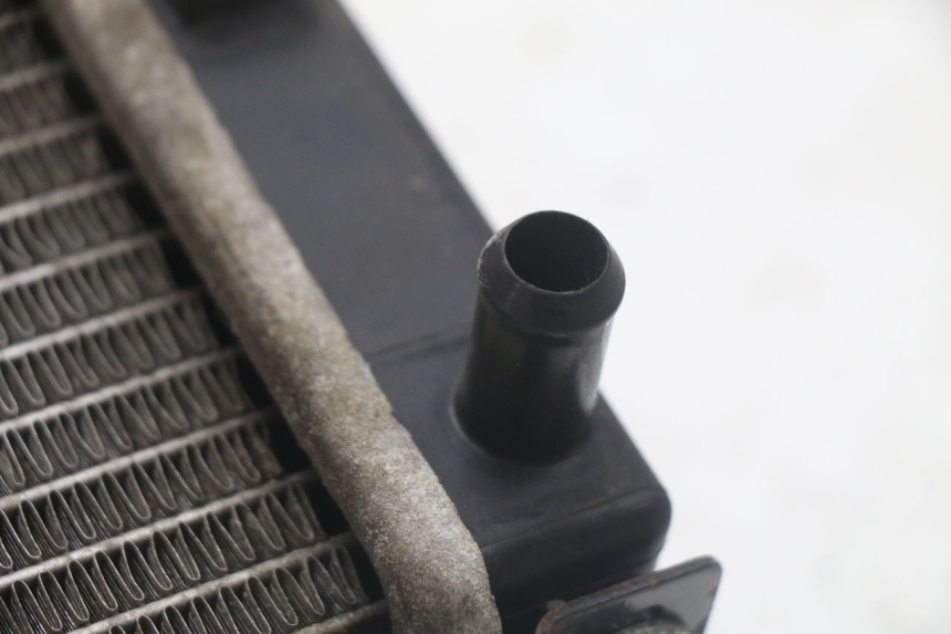 photo de RADIATORE SYM GTS EVO 125 (2009 - 2013) - Vista d'insieme del prodotto