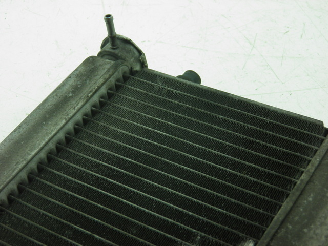 photo de RADIATORE HONDA FES S-WING SWING 125 (2007 - 2015) - Dettaglio del componente