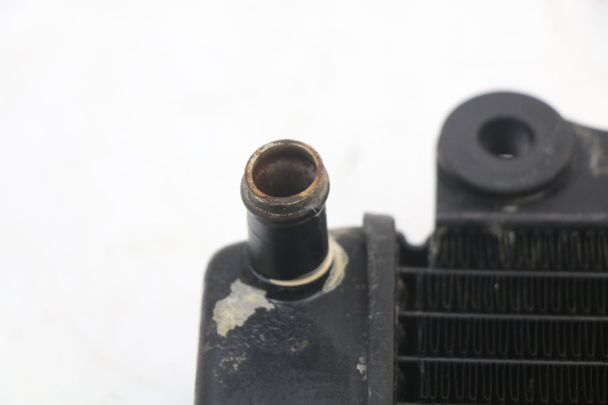 photo de RADIATORE HONDA NES AROBASE 125 (2000 - 2003) - Altra angolazione