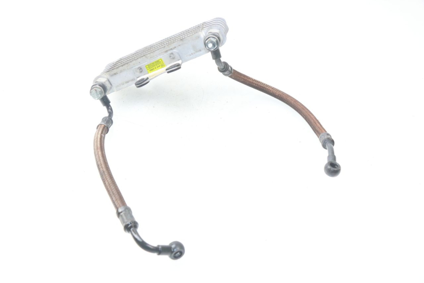 photo de RADIATORE OLIO HYOSUNG AQUILA GV 125 (2009 - 2016) - Stato della superficie e materiale