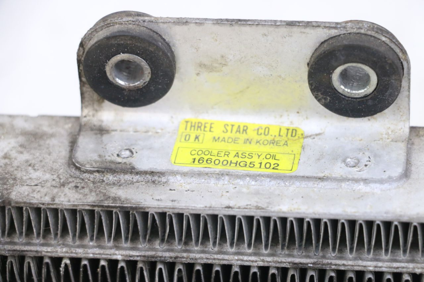 photo de RADIATORE OLIO HYOSUNG GV AQUILA 125 (2000 - 2009) - Dettaglio del componente