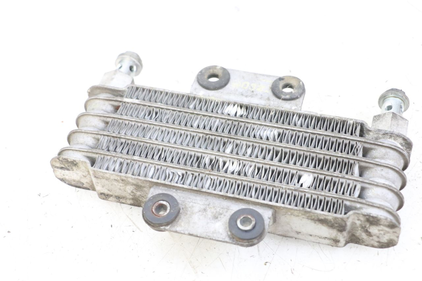 photo de RADIATORE OLIO HYOSUNG GV AQUILA 125 (2000 - 2009) - Zoom sullo stato d'uso