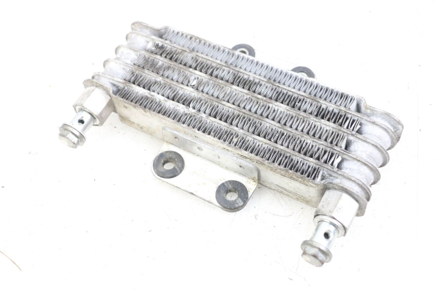 photo de RADIATORE OLIO HYOSUNG GV AQUILA 125 (2000 - 2009) - Vista d'insieme del prodotto