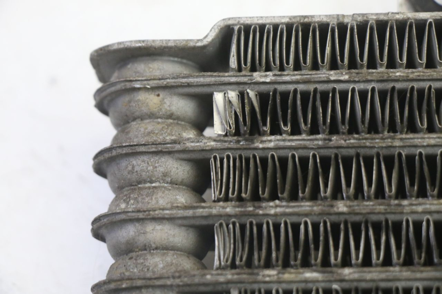 photo de RADIATORE OLIO HYOSUNG GV AQUILA 125 (2000 - 2009) - Dettaglio del componente