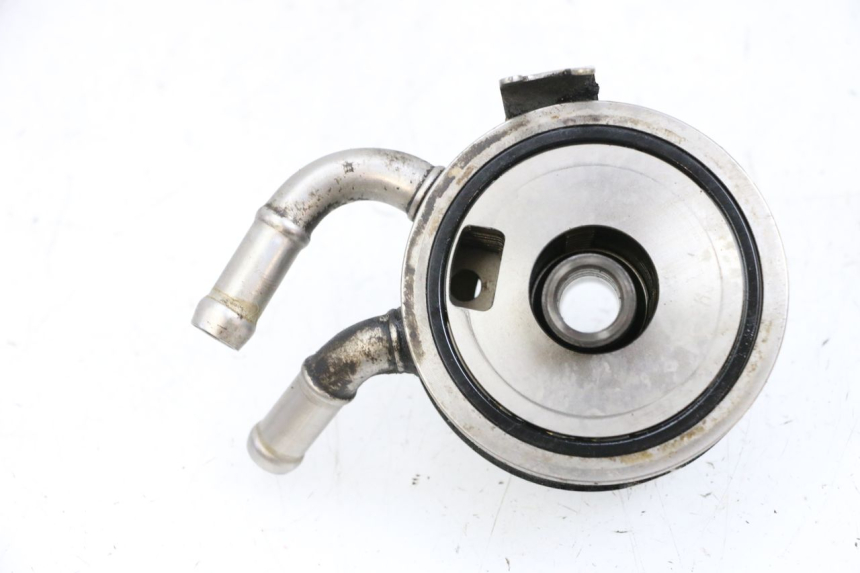 photo de RADIATORE OLIO SUZUKI BURGMAN EXECUTIVE ABS 650 (2006 - 2012) - Altra angolazione