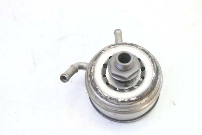 photo de RADIATORE OLIO HONDA CBR RR FIREBLADE 900 (1992 - 1994) - Dettaglio del componente