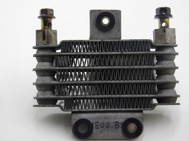 photo de RADIATORE OLIO DAELIM S2 125 (2008) - Vista principale