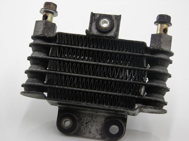 photo de RADIATORE OLIO DAELIM S2 125 (2008) - Dettaglio del componente