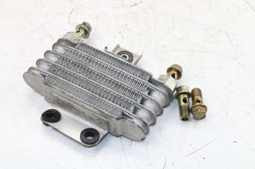 photo de RADIATORE OLIO DAELIM VJ ROADWIN 125 (2004 - 2007) - Vista principale