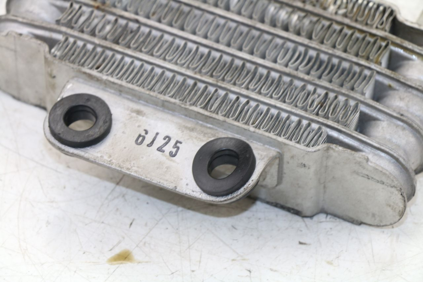 photo de RADIATORE OLIO DAELIM VJ ROADWIN 125 (2004 - 2007) - Dettaglio del componente