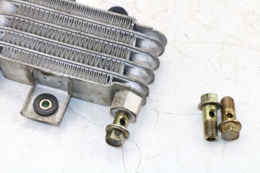 photo de RADIATORE OLIO DAELIM VJ ROADWIN 125 (2004 - 2007) - Vista d'insieme del prodotto