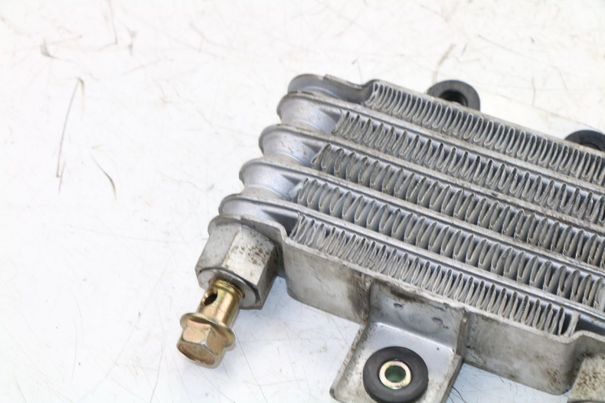 photo de RADIATORE OLIO DAELIM VJ ROADWIN 125 (2004 - 2007) - Dettagli dei punti di fissaggio