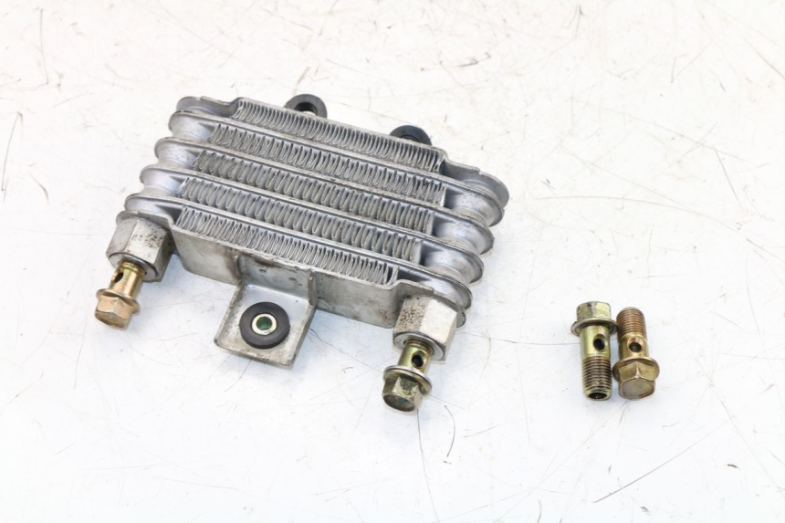 photo de RADIATORE OLIO DAELIM VJ ROADWIN 125 (2004 - 2007) - Stato della superficie e materiale