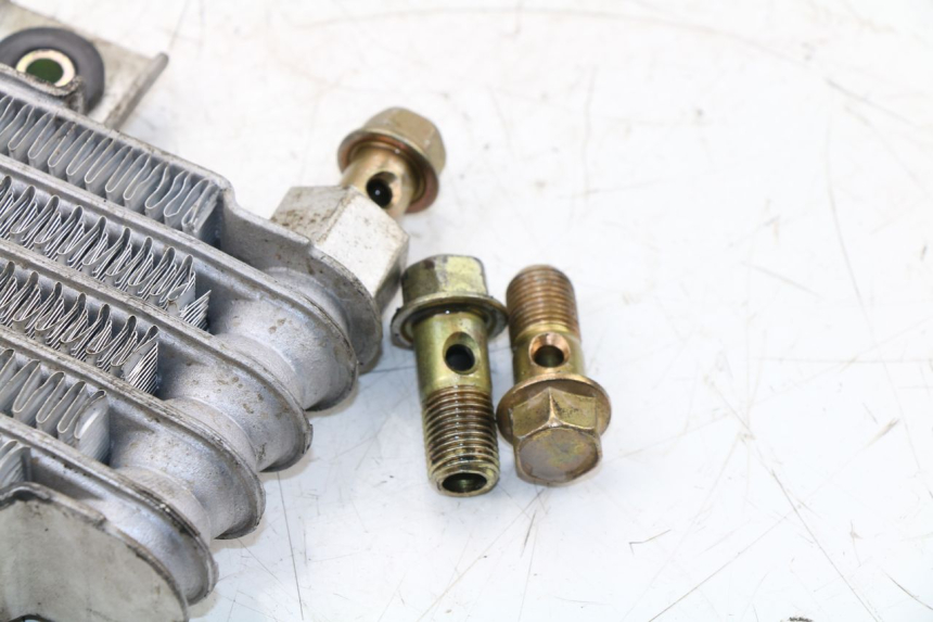 photo de RADIATORE OLIO DAELIM VJ ROADWIN 125 (2004 - 2007) - Marcature e riferimenti originali