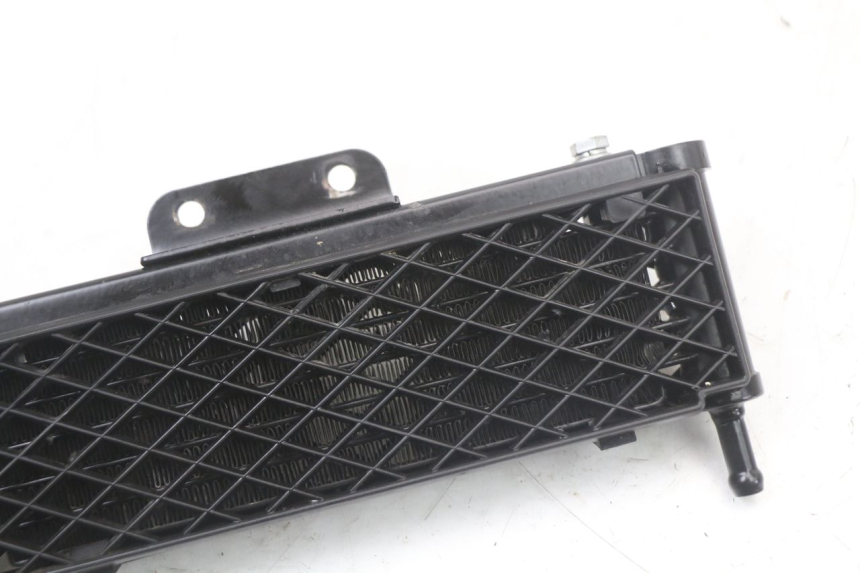 photo de RADIATORE OLIO RSR DIRT BIKE 150 - Zoom sullo stato d'uso