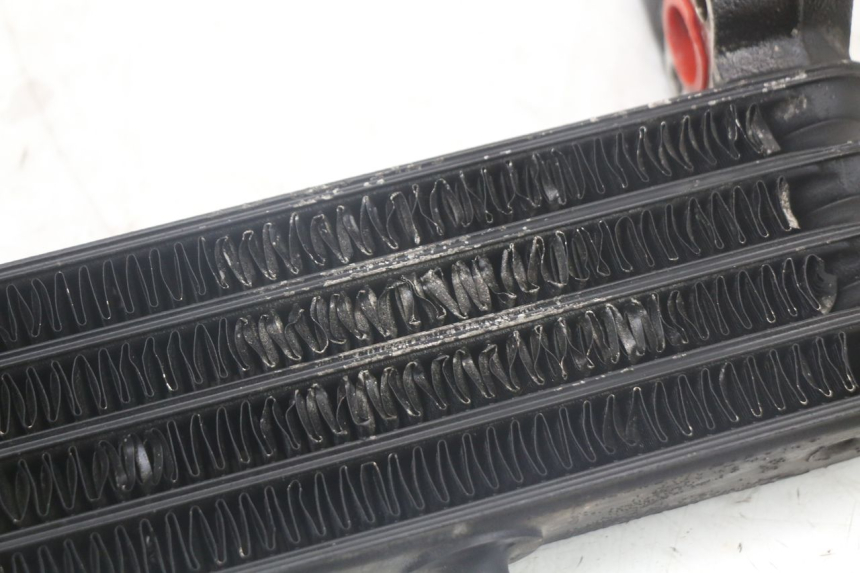 photo de RADIATORE OLIO YAMAHA FJ 3CX 1200 (1986 - 1996) - Primo piano tecnico