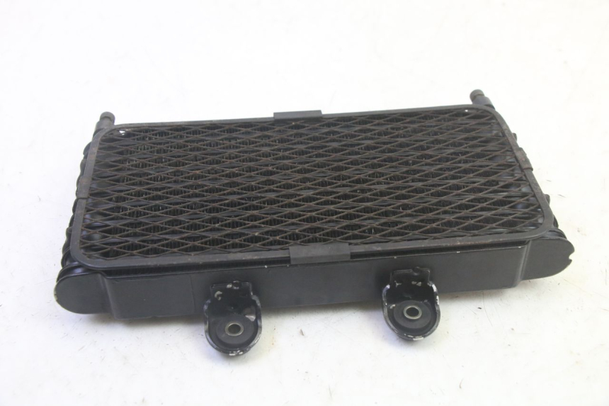 photo de RADIATORE OLIO SUZUKI GSF N BANDIT 600 (1996 - 1999) - Zoom sullo stato d'uso