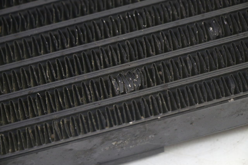 photo de RADIATORE OLIO SUZUKI GSF N BANDIT 600 (1996 - 1999) - Primo piano tecnico