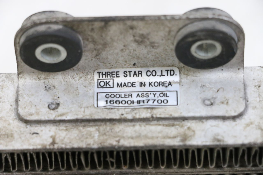 photo de RADIATORE OLIO HYOSUNG GTR 125 (2006 - 2008) - Zoom sullo stato d'uso