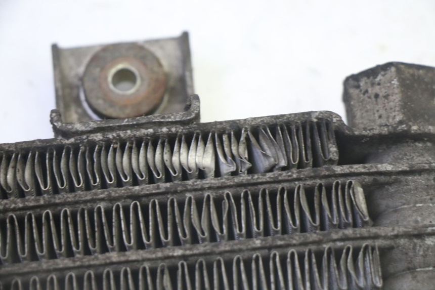 photo de RADIATORE OLIO DAELIM HISTORY 125 (2001 - 2002) - Dettaglio del componente