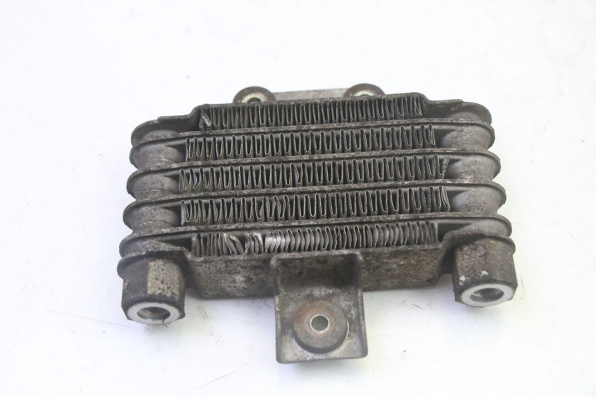 photo de RADIATORE OLIO DAELIM HISTORY 125 (2001 - 2002) - Zoom sullo stato d'uso