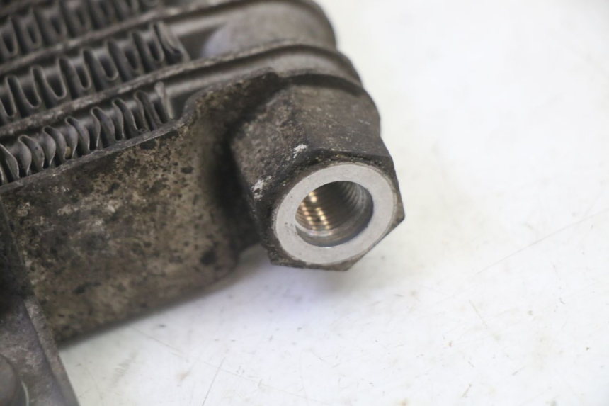 photo de RADIATORE OLIO DAELIM HISTORY 125 (2001 - 2002) - Vista d'insieme del prodotto