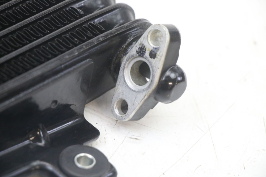 photo de RADIATORE OLIO ROYAL ENFIELD HYMALAYAN 410 (2016 - 2023) - Vista d'insieme del prodotto