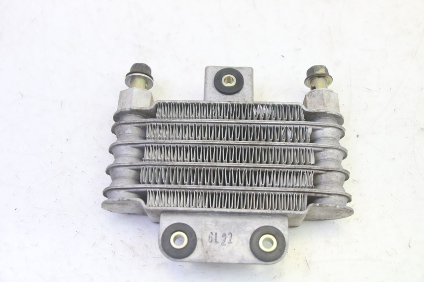 photo de RADIATORE OLIO DAELIM S1 125 (2007 - 2016) - Primo piano tecnico