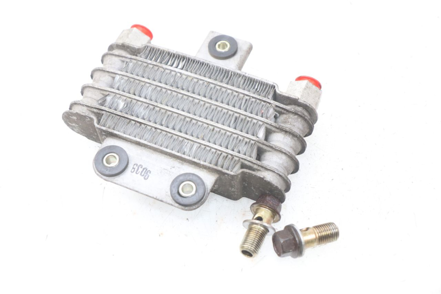 photo de RADIATORE OLIO DAELIM S2 FI 125 (2008 - 2017) - Zoom sullo stato d'uso