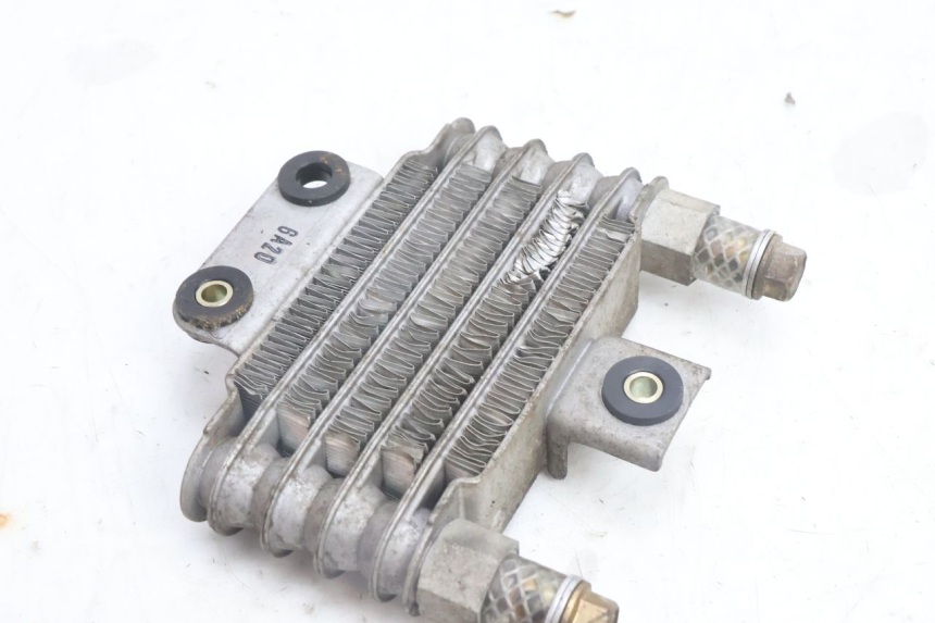photo de RADIATORE OLIO DAELIM S2 125 (2006 - 2007) - Zoom sullo stato d'uso
