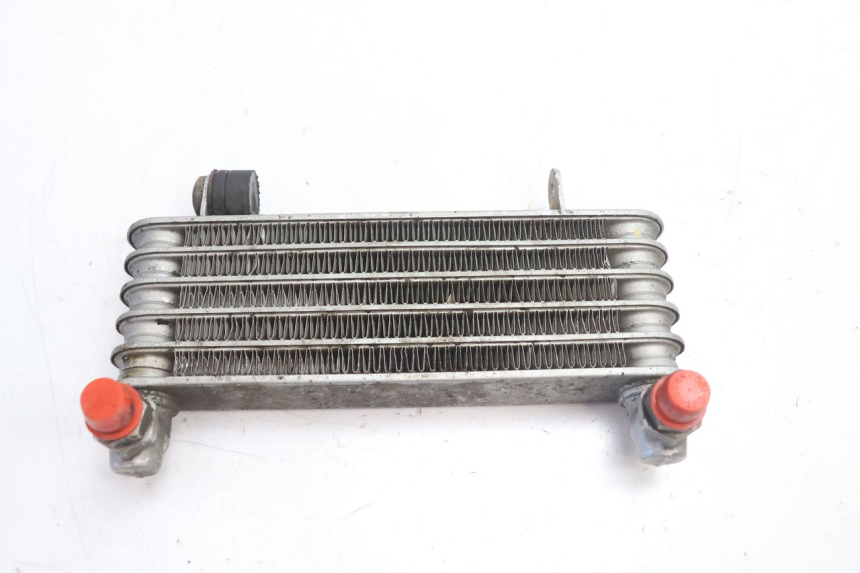 photo de RADIATORE OLIO DUCATI SS IE DS CARENEE 1000 (2002 - 2006) - Vista principale
