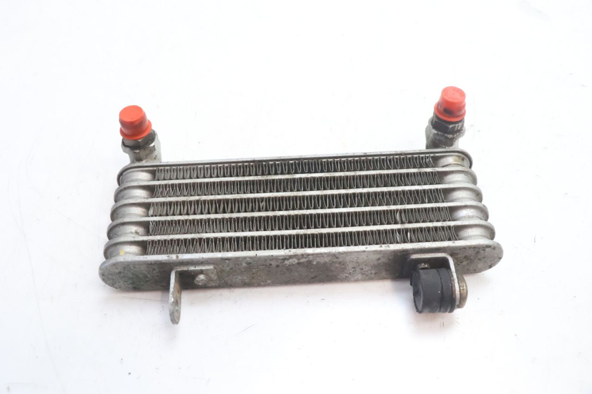 photo de RADIATORE OLIO DUCATI SS IE DS CARENEE 1000 (2002 - 2006) - Dettaglio del componente