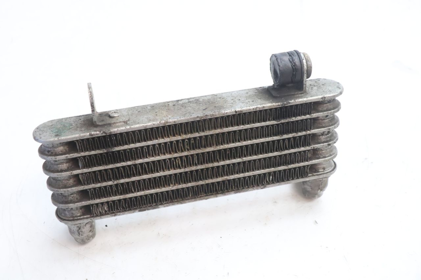 photo de RADIATORE OLIO DUCATI SS IE DS CARENEE 1000 (2002 - 2006) - Zoom sullo stato d'uso