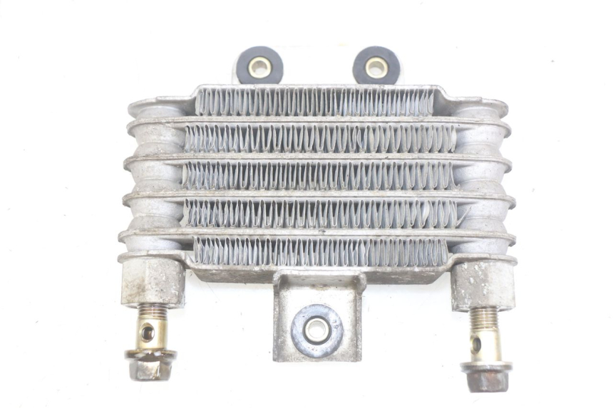 photo de RADIATORE OLIO DAELIM VJ ROADWIN FI 125 (2008 - 2017) - Vista principale