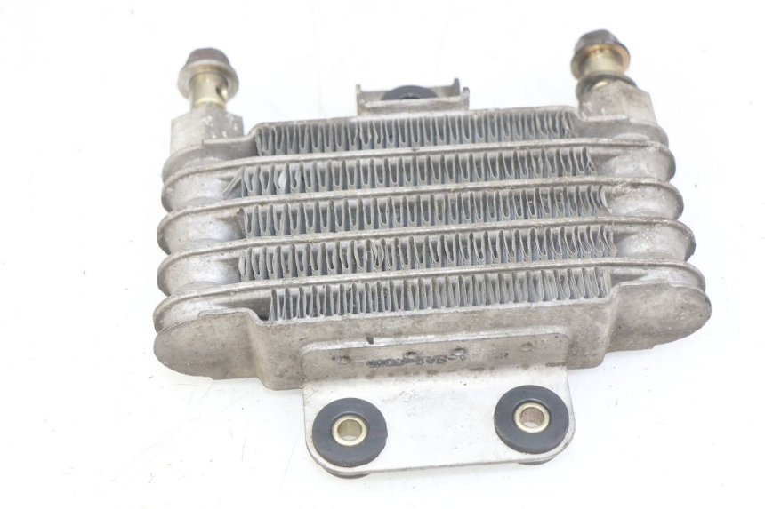 photo de RADIATORE OLIO DAELIM VJ ROADWIN FI 125 (2008 - 2017) - Zoom sullo stato d'uso