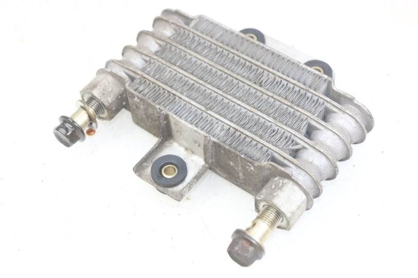 photo de RADIATORE OLIO DAELIM VJ ROADWIN FI 125 (2008 - 2017) - Altra angolazione