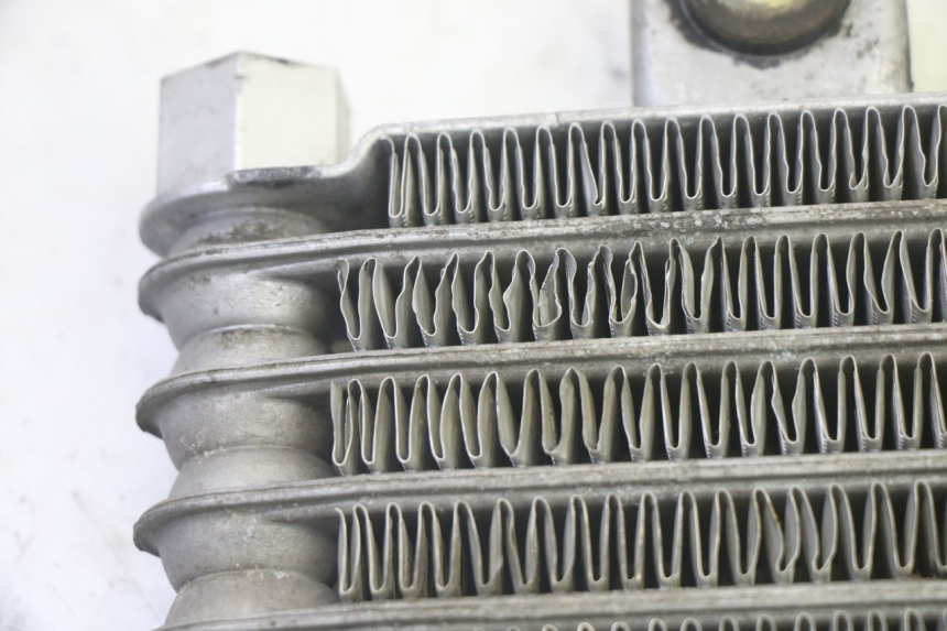 photo de RADIATORE OLIO DAELIM VJ ROADWIN FI 125 (2008 - 2017) - Zoom sullo stato d'uso