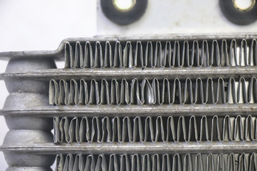 photo de RADIATORE OLIO DAELIM VJ ROADWIN FI 125 (2008 - 2017) - Stato della superficie e materiale